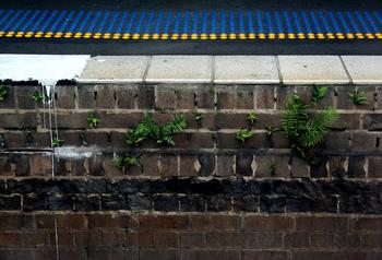 �ƾ�������Ƶ�����ݽ�����Ӱ��������� �ֳ�������ը��(ͼ)...